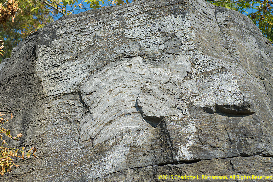 Vermont Photo Gallery